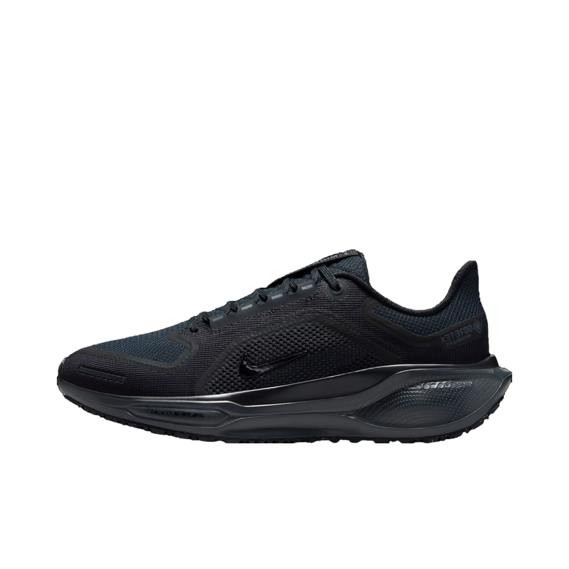 Løbe Nike Pegasus 41 GORE-TEX Sort | fq1357-001