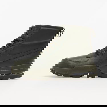 Sneakers og sko Nike Air Max Goaterra 2.0 Grøn | DD5016-300, 0