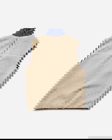 Vest Patagonia Classic Retro-X Fleece Vest Beige | 23049 DNAT, 2