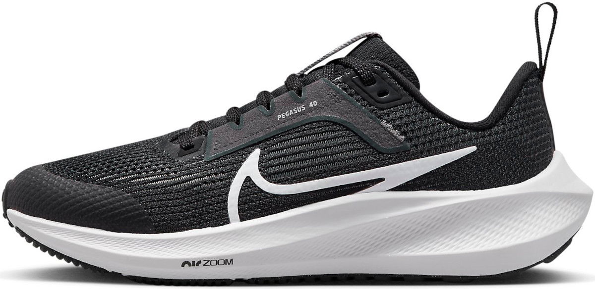 Sneakers og sko Nike Air Zoom Pegasus 40 Sort | dx2498-001, 0