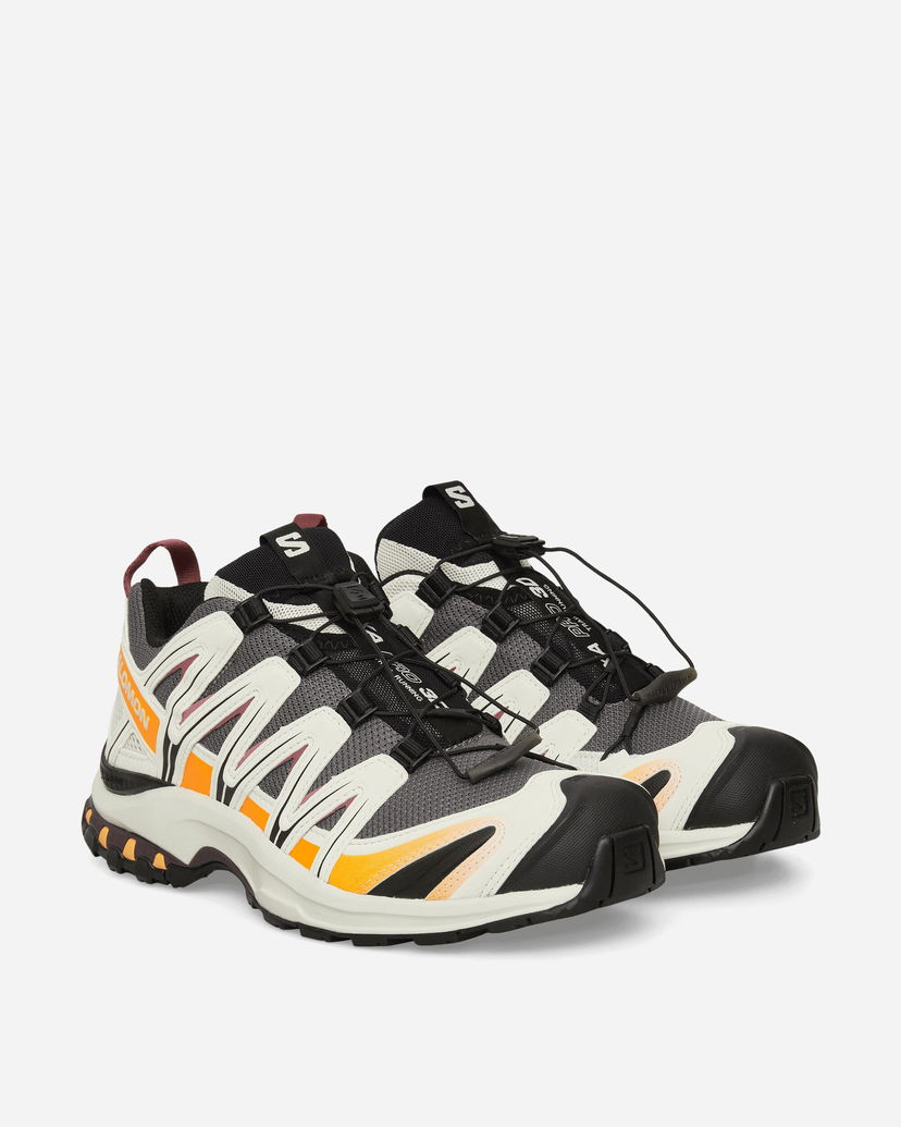 Tilbehør Salomon XA PRO 3D Beige | L47867700