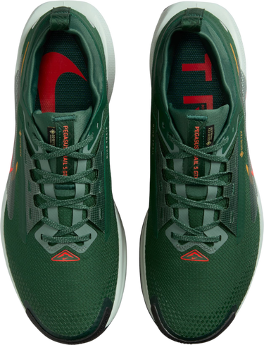 Sneakers og sko Nike Pegasus Trail 5 GORE-TEX Grøn | fq0908-301, 2