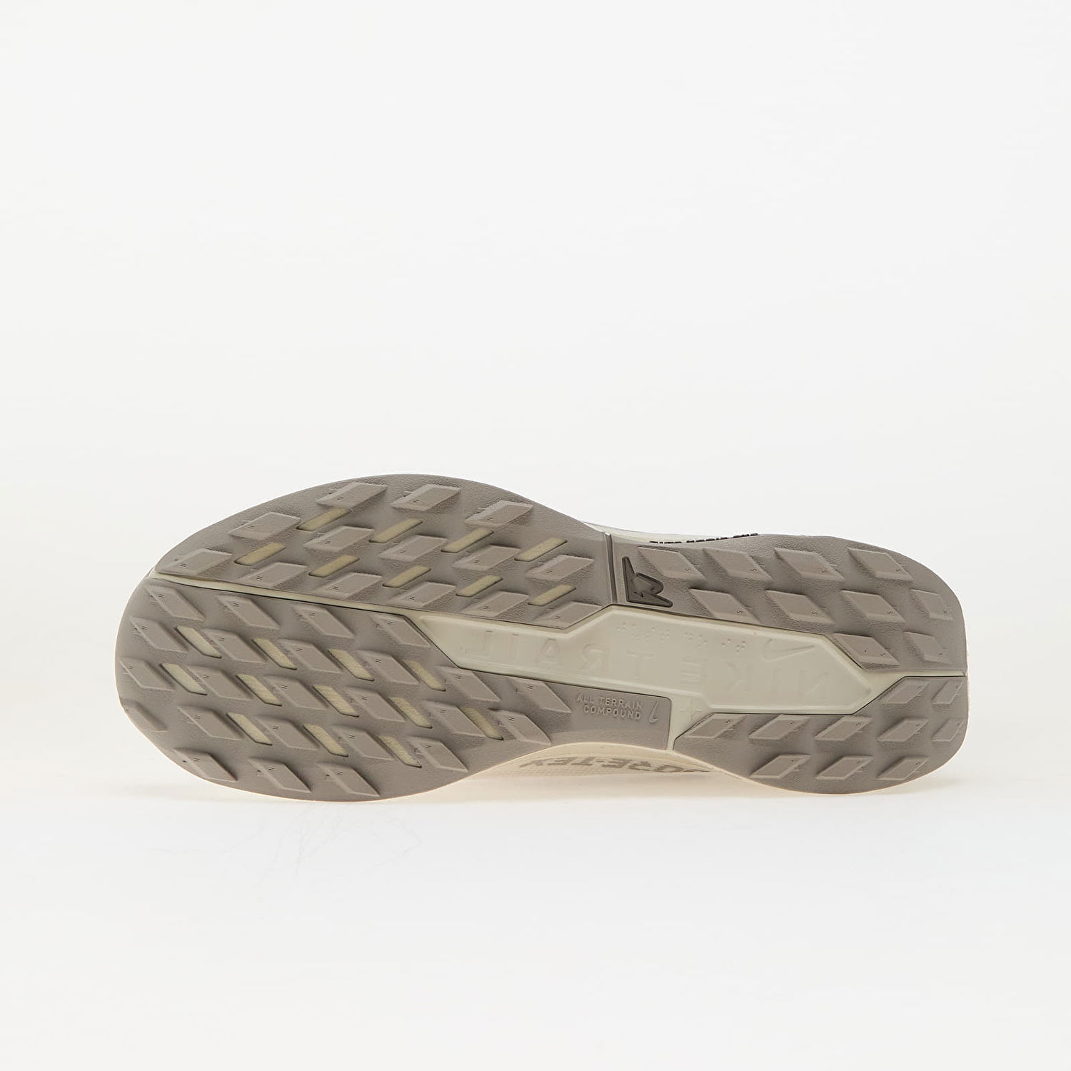 Sneakers og sko Nike Pegasus Trail 5 Gore-Tex Beige | HQ7494-100, 1