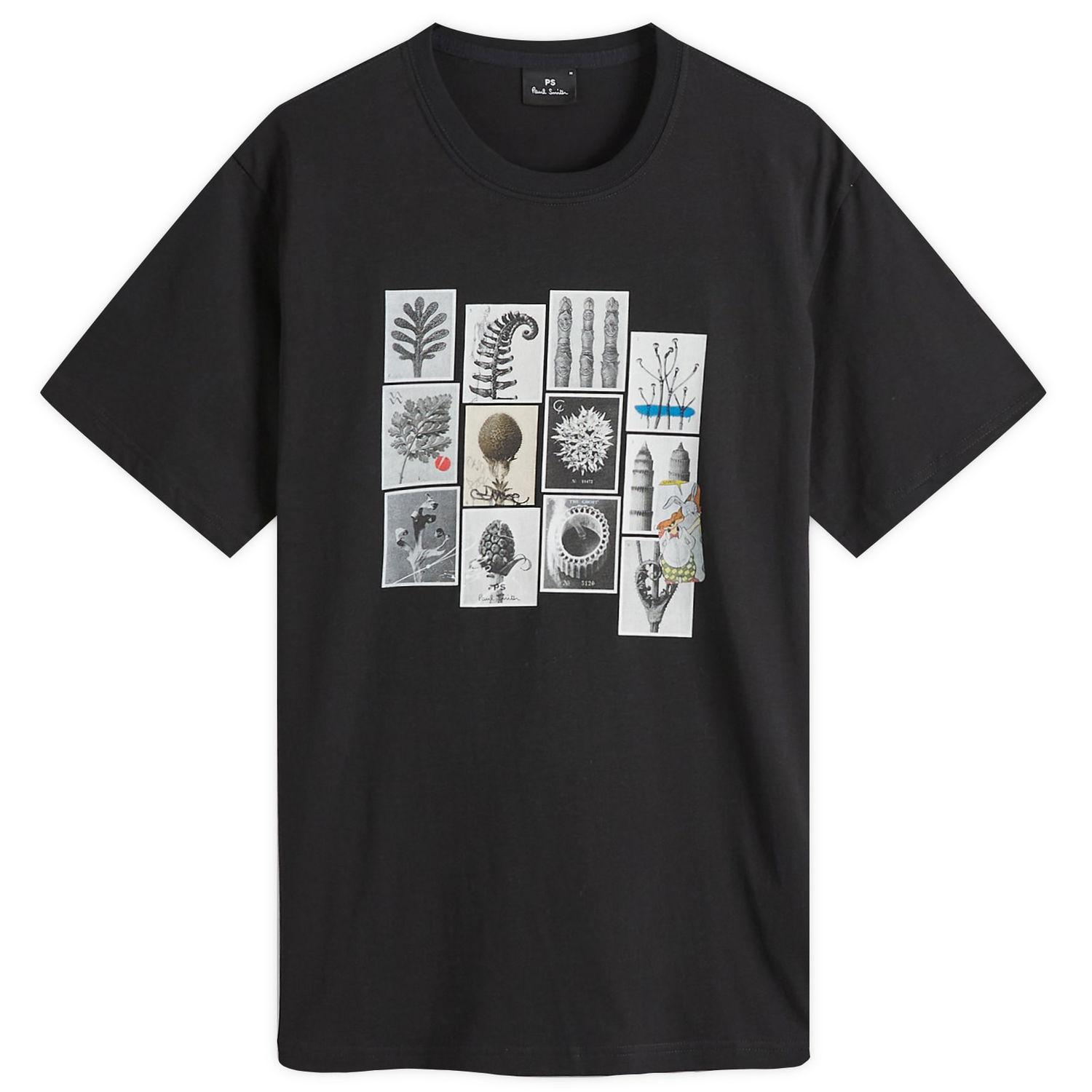 T-shirt Paul Smith Paul Smith Desert Flowers Graphic T-Shirt, Size Large Sort | M2R-011R-PP5135-79, 1