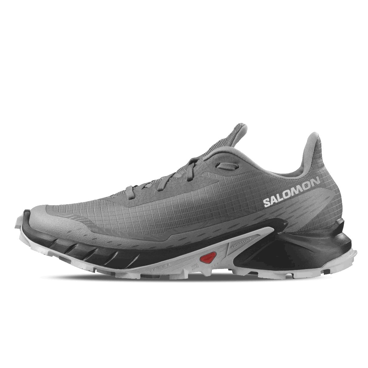 Sneakers og sko Salomon Alphacross 5 Grå | L47313300, 0