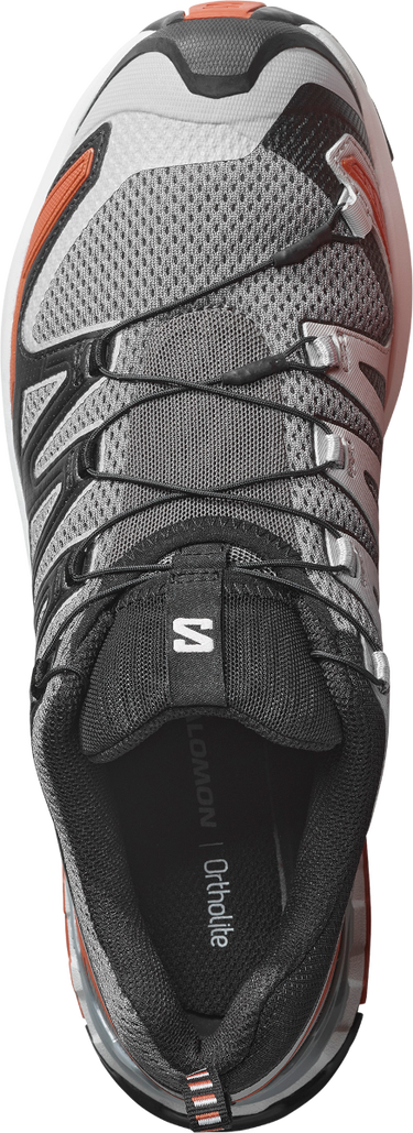 Sneakers og sko Salomon XA PRO 3D V9 Grå | l47747-600, 3