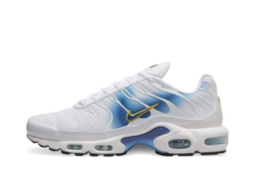 Sneakers og sko Nike Air Max Plus Hvid | DX8962-100