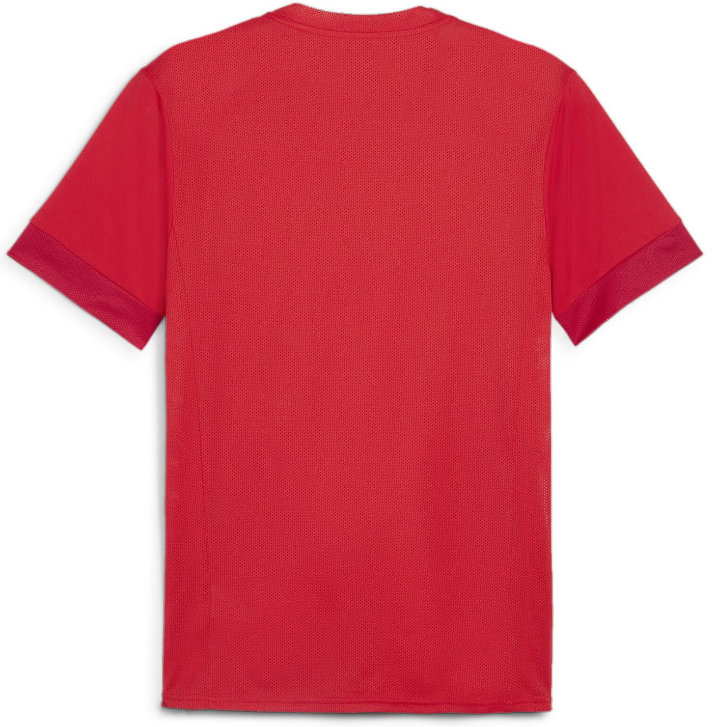 Jersey Puma teamGOAL Matchday Jersey Rød | 705747-01, 1