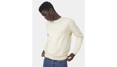 Sweatshirt Colorful Standard Classic Organic Crew Grøn | CS1005-EG, 4