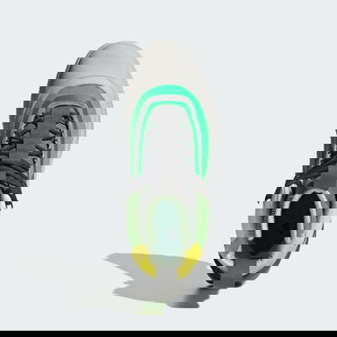 Sneakers og sko adidas Performance Stella McCartney x Terrex Hiking Flerfarvet | IF6070, 2