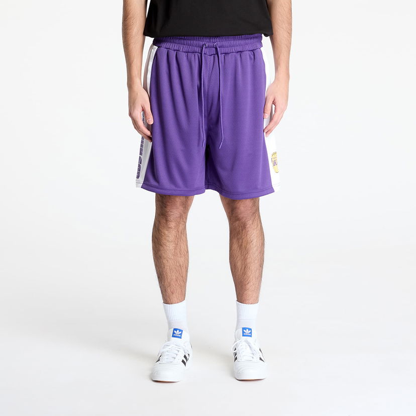 Shorts New Era Los Angeles Lakers NBA Graphic Mesh Shorts Lilla | 60596420