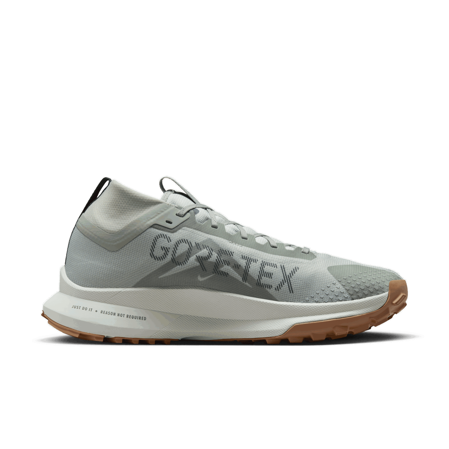 Sneakers og sko Nike Pegasus Trail 4 GORE-TEX Grøn | DJ7926-304, 1