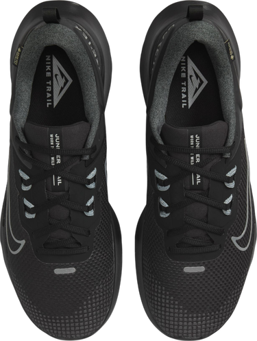 Sneakers og sko Nike Juniper Trail 2 GORE-TEX Sort | hm9734-001, 2