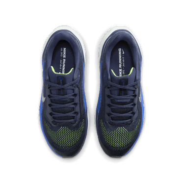 Sneakers og sko Nike Pegasus 41 Blå | FN5041-400, 2