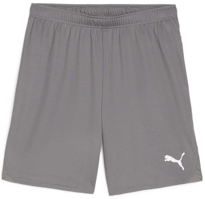 Shorts Puma teamGOAL Shorts Grå | 705752-13