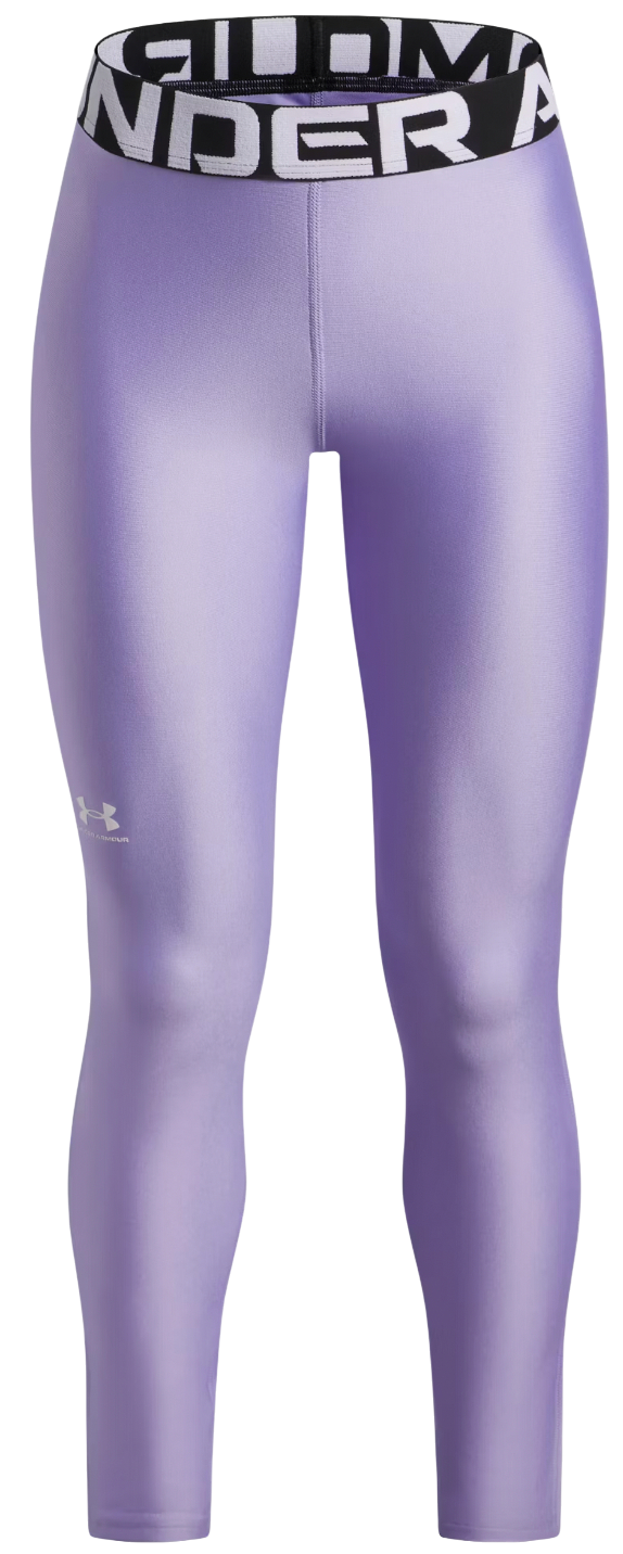 Leggings Under Armour HG Performance Legging Lilla | 1390069-538, 0
