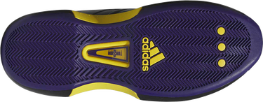 Sneakers og sko adidas Originals Crazy 1 Sort | FZ6208, 1