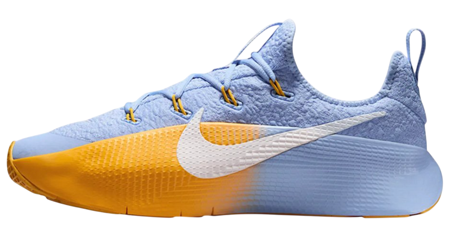 Sneakers og sko Nike LeBron TR 1 'Aluminium University Gold' Flerfarvet | FJ6151-401, 1