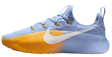 Sneakers og sko Nike LeBron TR 1 'Aluminium University Gold' Flerfarvet | FJ6151-401, 1