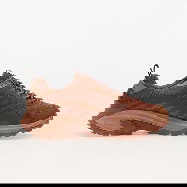 Sneakers og sko Merrell 1TRL Moab Speed 2 GTX Brun | J006091, 2