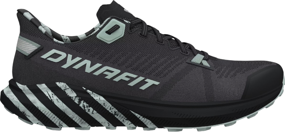 Sneakers og sko Dynafit Dynafit Trail Graphic Grå | 08-0000064114-0925, 0