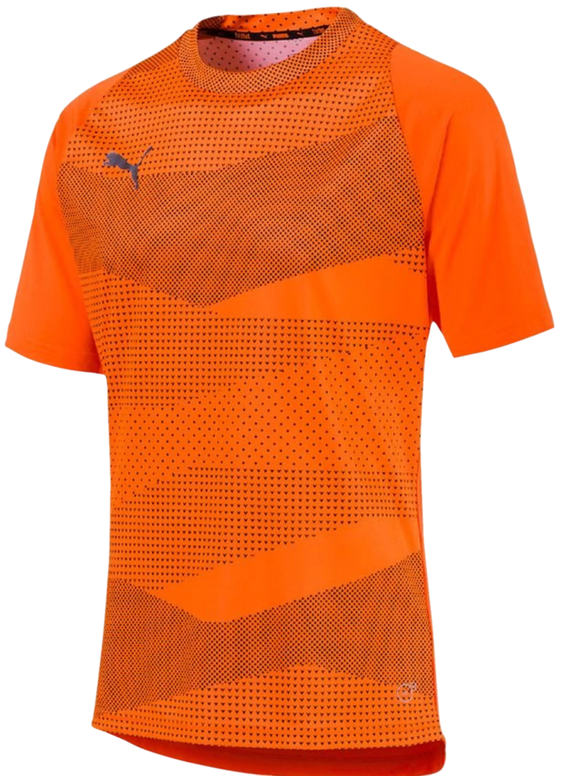 Jersey Puma Puma Football Graphic Core T-Shirt Orange | 655781-002