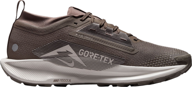 Sneakers og sko Nike Pegasus Trail 5 GORE-TEX Brun | fq0908-012, 3