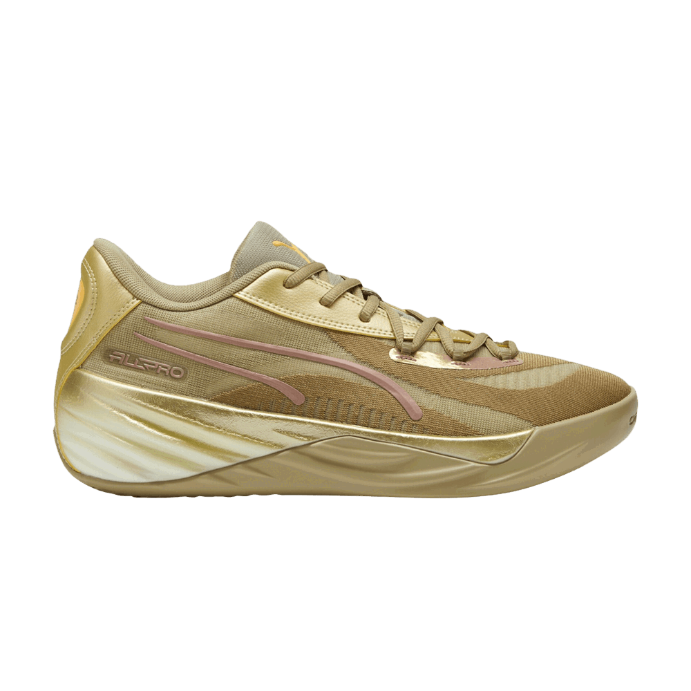 Sneakers og sko Puma All-Pro Nitro Brun | 379967-01, 0