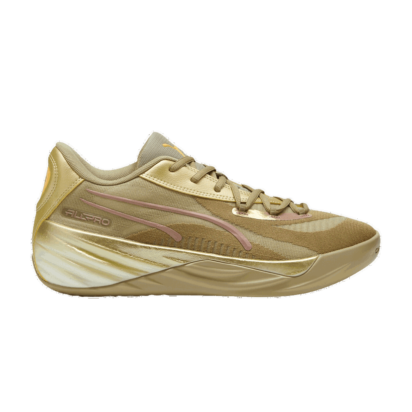 Sneakers og sko Puma All-Pro Nitro Brun | 379967-01