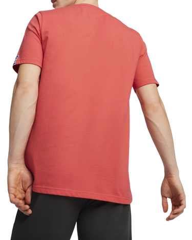 T-shirt Puma Handball Tee Rød | 658524-09, 1