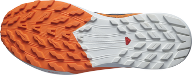 Sneakers og sko Salomon SENSE RIDE 5 GTX Sort | l47459400, 4