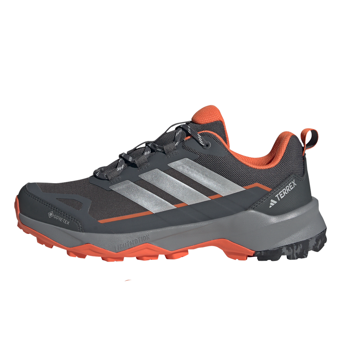 Sneakers og sko adidas Originals TERREX SKYCHASER AX5 GTX Grå | JS4608, 0