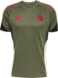 FC Bayern Tiro25 European Competition Training Jersey 2025/26