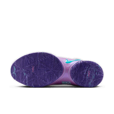 Sneakers og sko Nike LeBron XXII "Mogul" Lilla | HV8454-001, 2