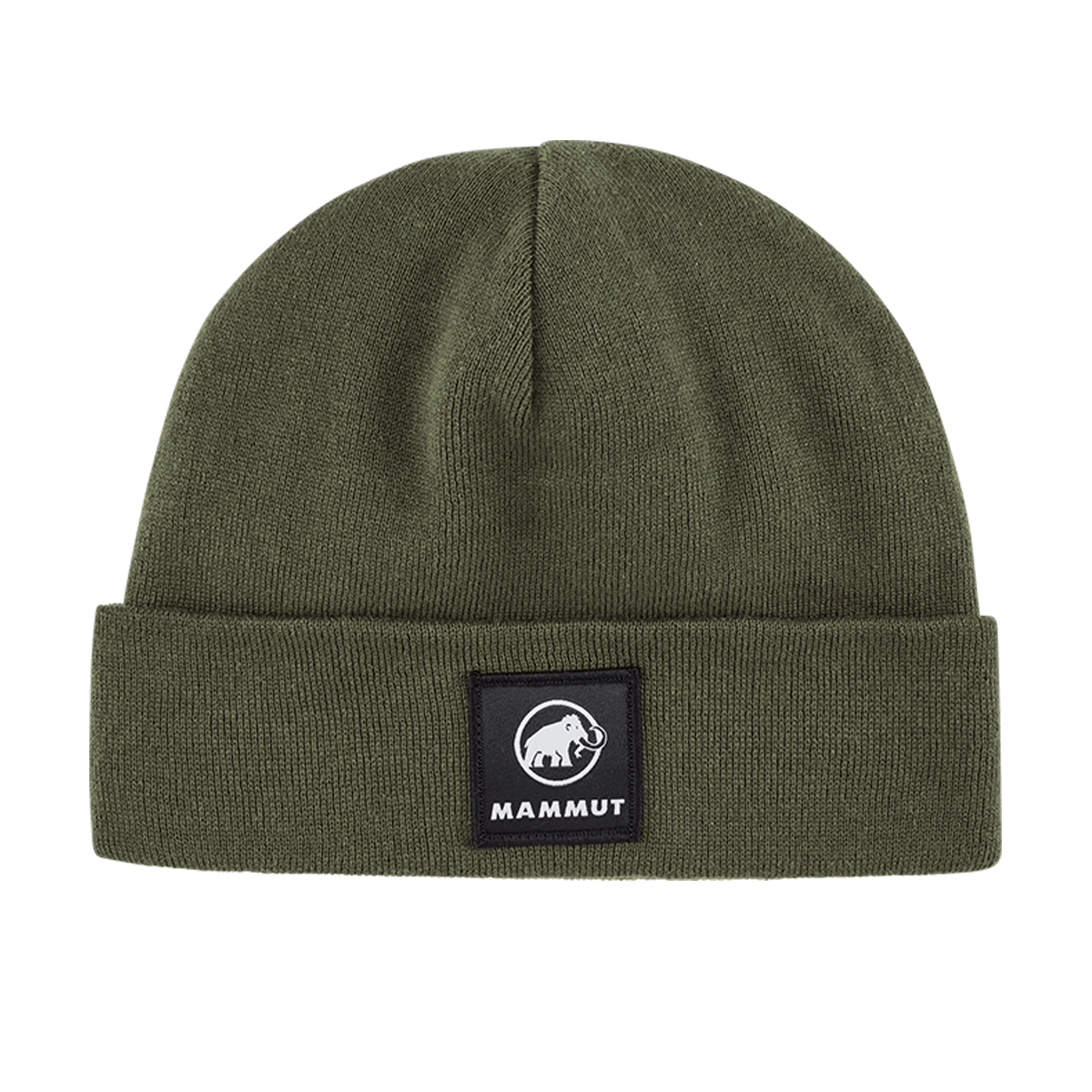 Beanie Mammut Fedoz Knitted Beanie Grøn | 1191-01090-40284, 0