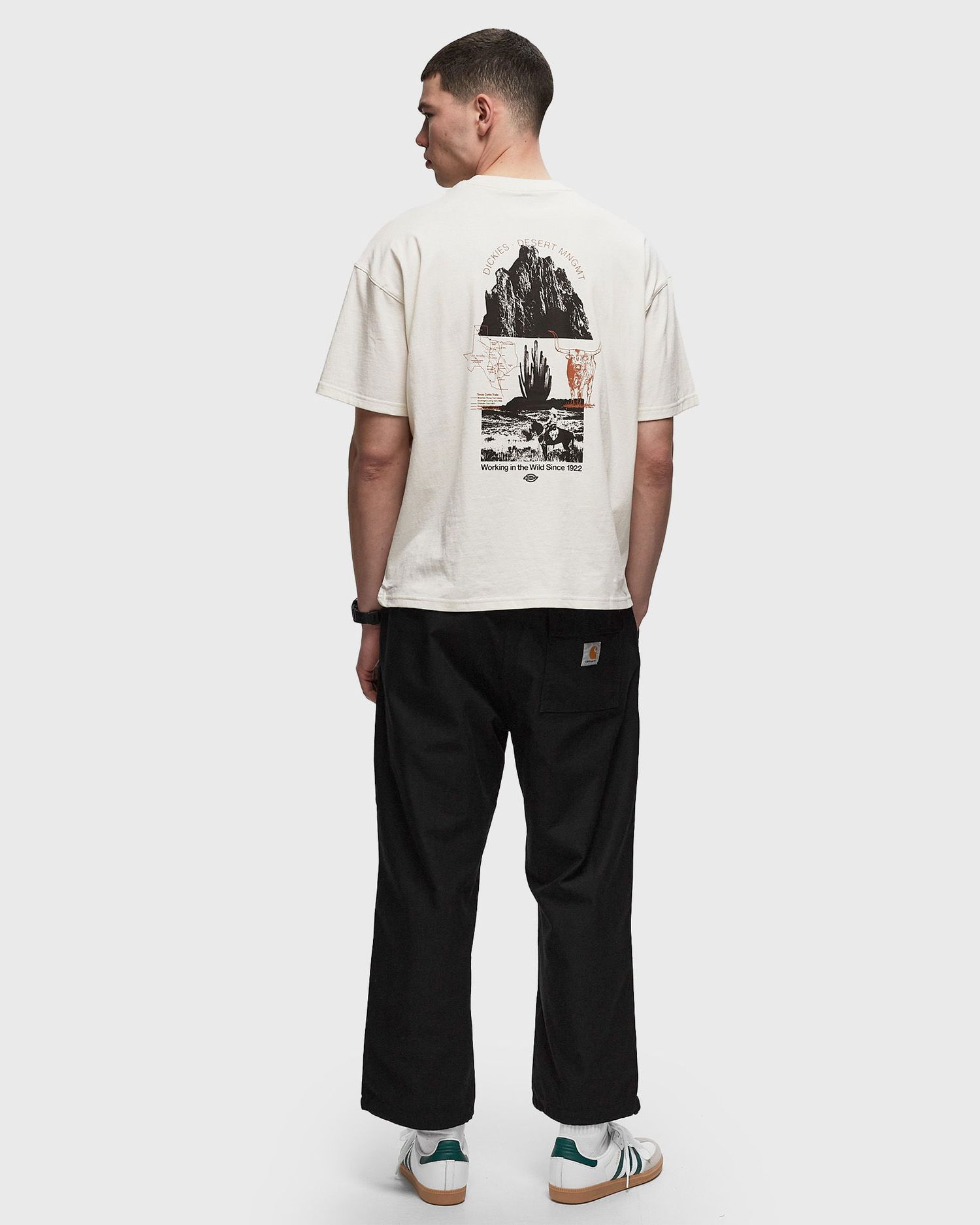 T-shirt Dickies Pearisburg T-Shirt Hvid | 0A4YRK, 1