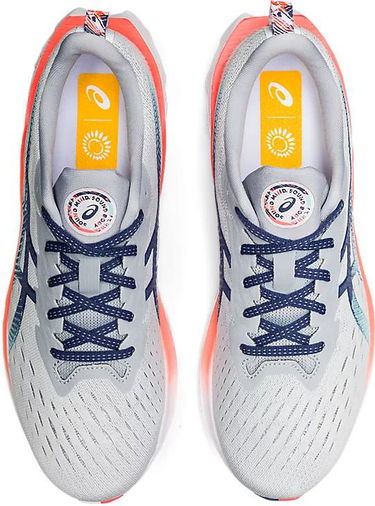 Sneakers og sko Asics Novablast 2 Grå | 1011b306-960, 2