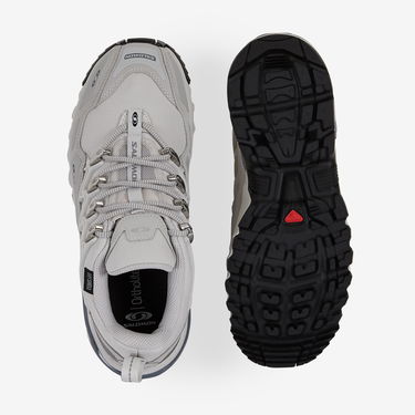 Sneakers og sko Salomon Acs + CSWP Grå | L47308200, 2