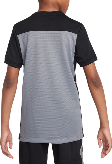 T-shirt Nike Chelsea FC Dri-FIT Academy Top Short Sleeve Grå | hj3716-065, 1