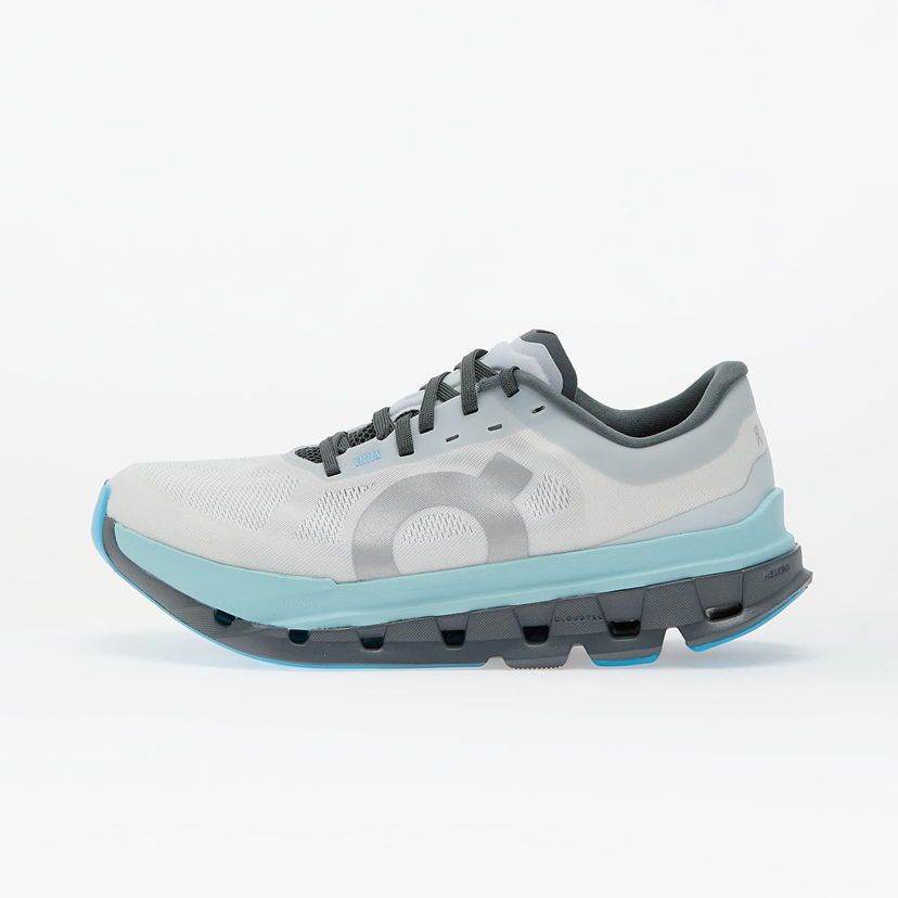 Sneakers og sko On Running Cloudflow 5 Grå | 3WF10093306