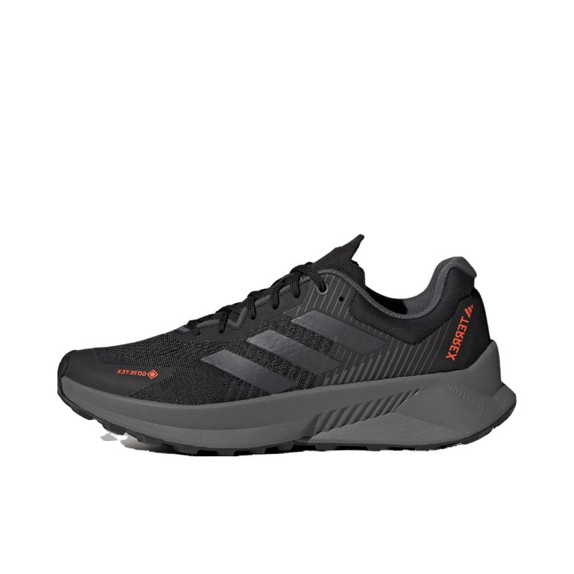 Sneakers og sko adidas Performance Terrex Soulstride Flow GTX "Black" Sort | ID6714
