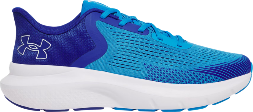 Sneakers og sko Under Armour UA Charged Rogue 5 Blå | 3028256-428