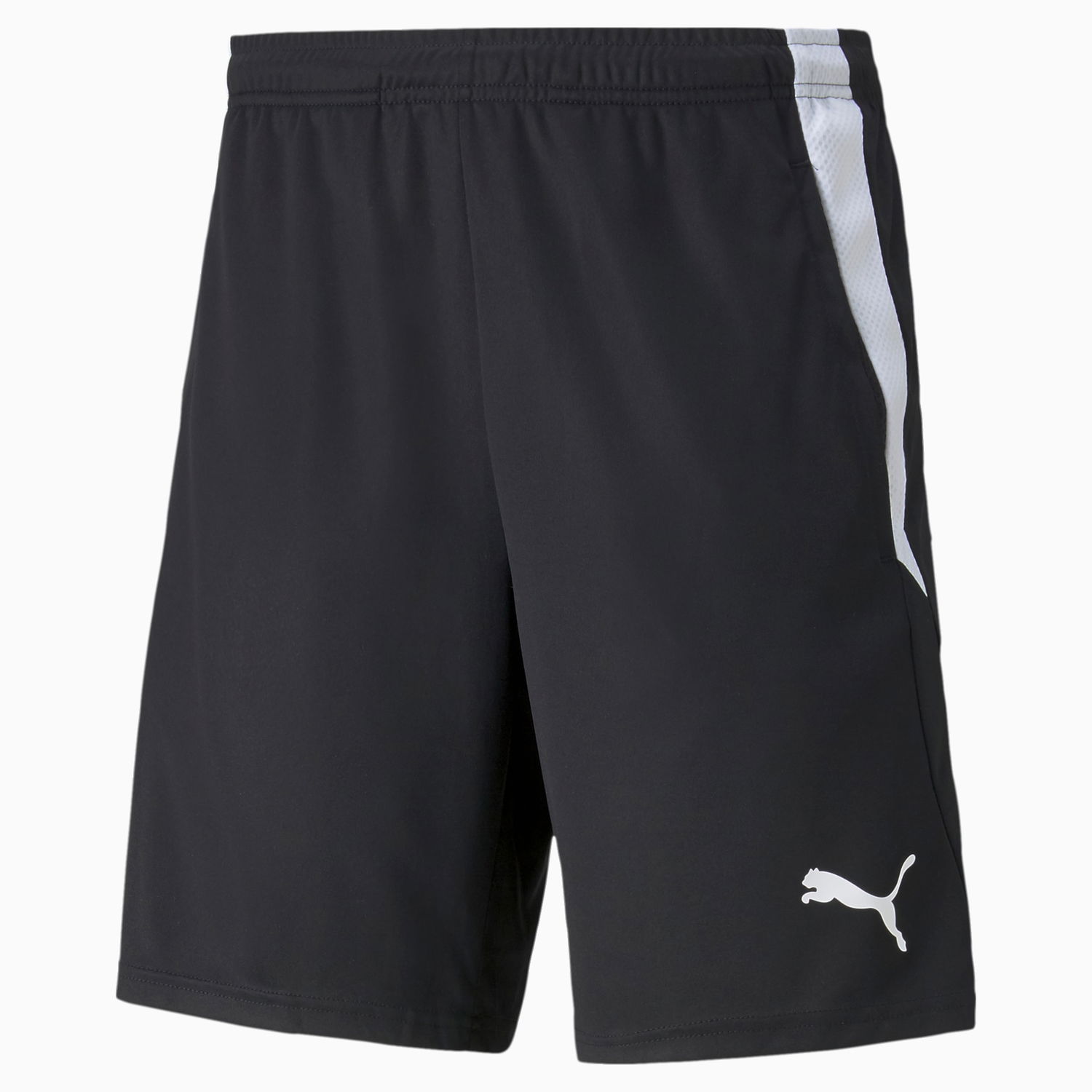 Shorts Puma teamLIGA Training Shorts Sort | 657667_03, 0