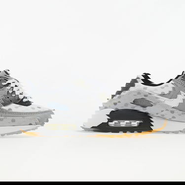 Sneakers og sko Nike Air Max 90 NRG Grå | CZ1929-100, 1