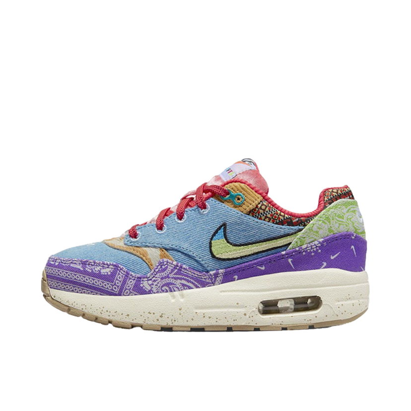 Sneakers og sko Nike Air Max 1 SP Concepts Far Out Flerfarvet | DR2362-100