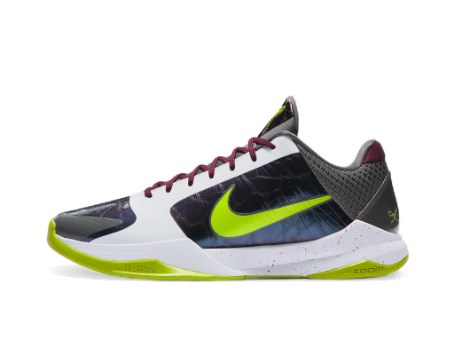 Sneakers og sko Nike Zoom Kobe 5 Protro "Chaos" Flerfarvet | CD4991-100