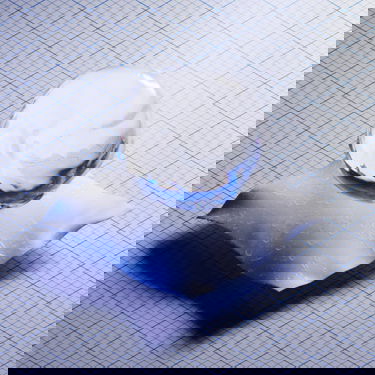 Vindjakke adidas Performance Myshelter Rain.Rdy Jacket Gul | IM8529, 3