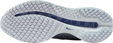 Sneakers og sko Nike Pegasus Premium Blå | hq2593-006, 4