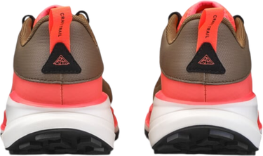 Sneakers og sko Craft PURE TRAIL X W Brun | 1915203-685825, 2