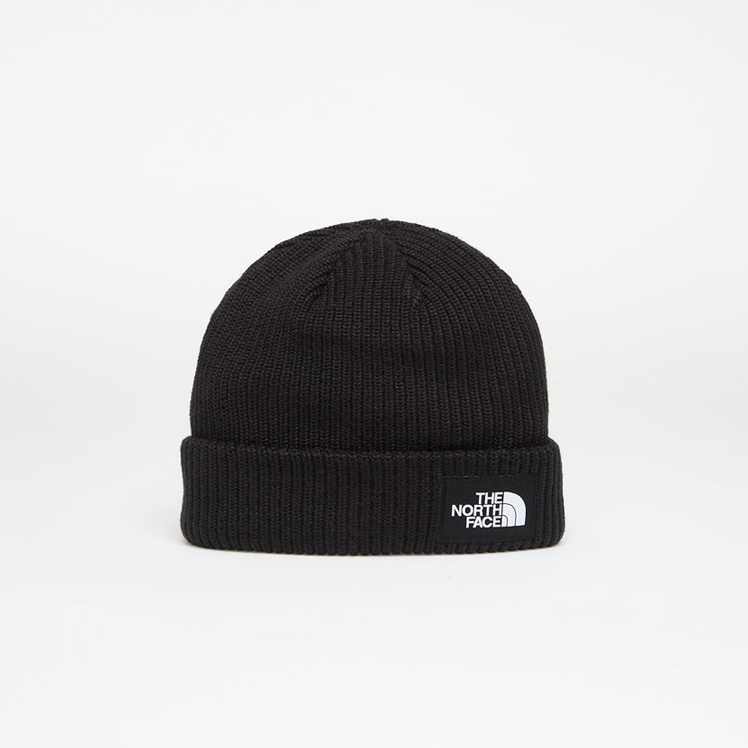 Beanie The North Face The North Face Salty Lined Beanie Sort | NF0A8CGZJK31